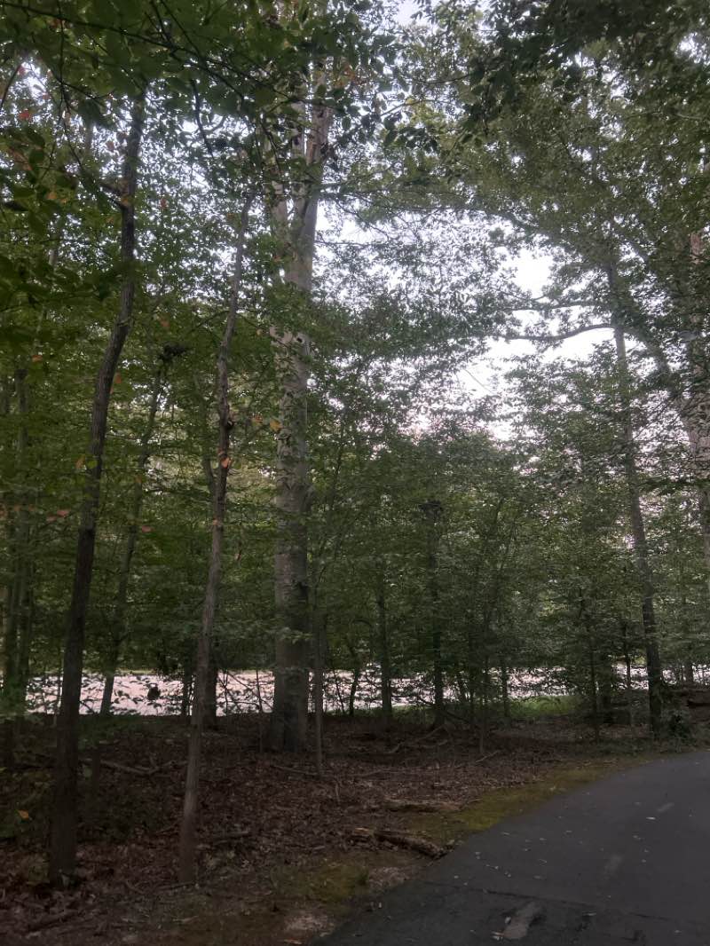walking near me in Fort Hunt Park in autumn
