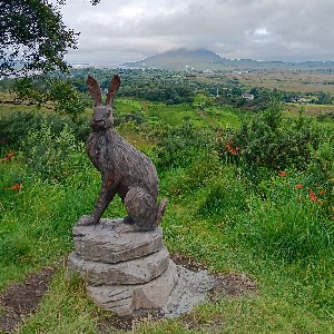 josephine o'farrell icon