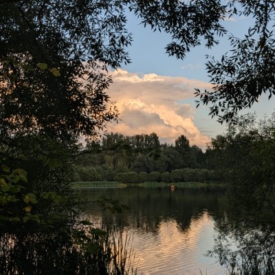 Шагающие Миньоны Наташа post image