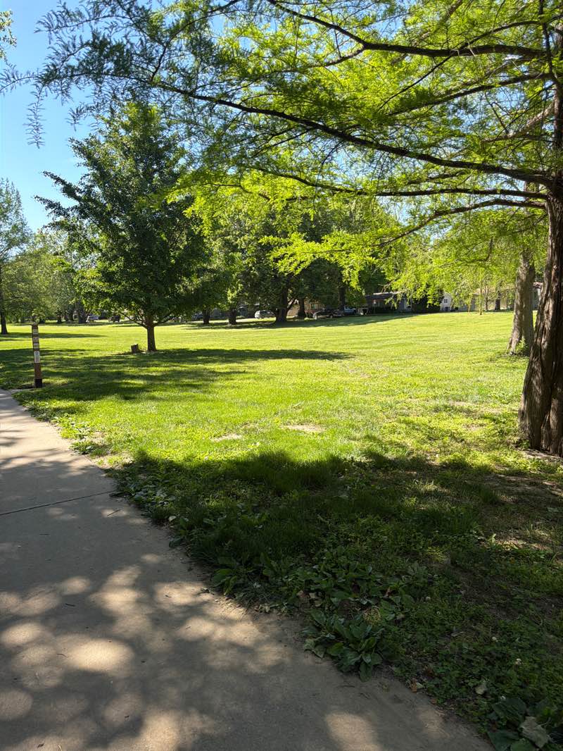 walking near me in Wells Park in spring