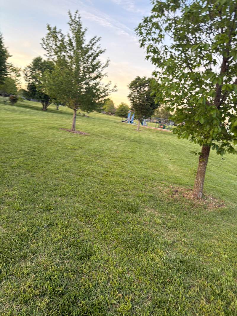 walking near me in Sherwood Park in spring