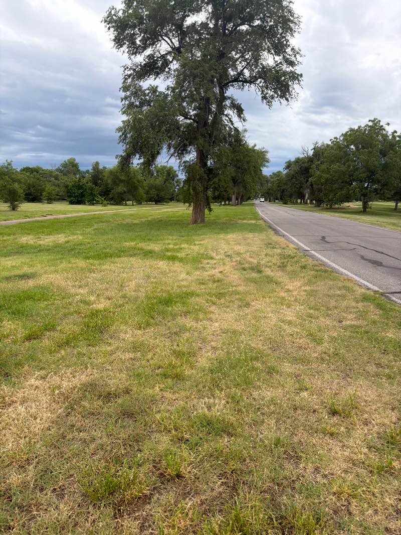walking near me in Carey Park in summer