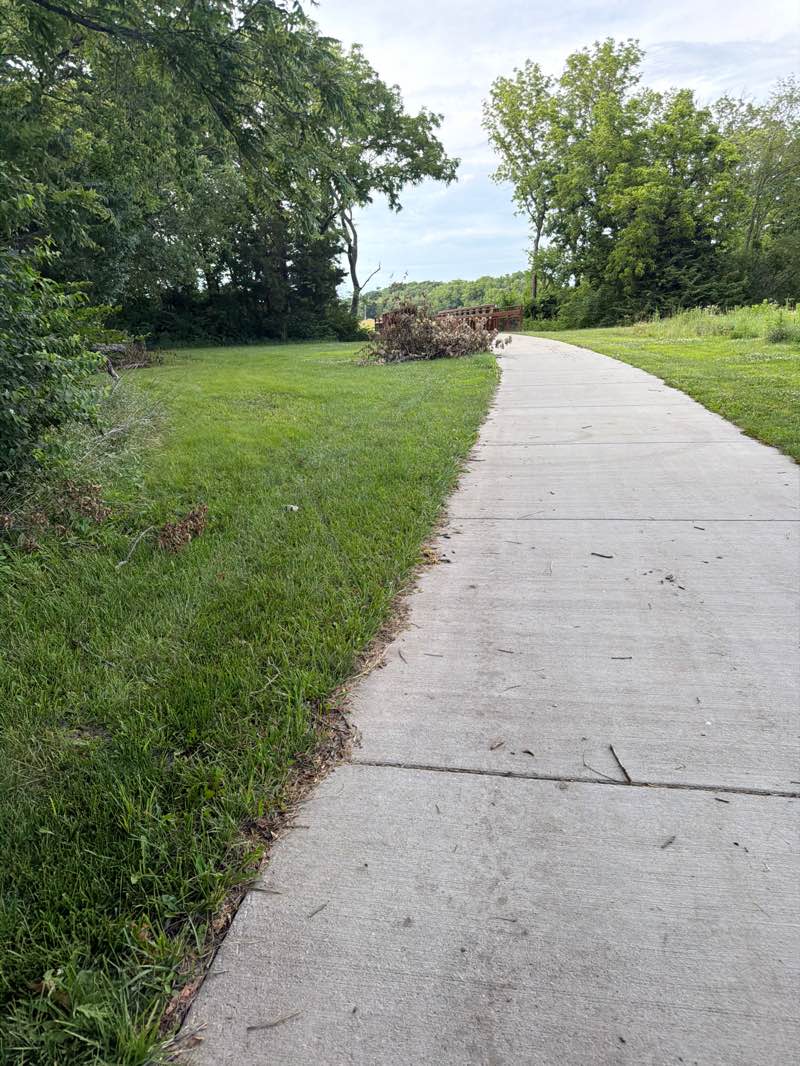walking near me in Dornwood Park in summer