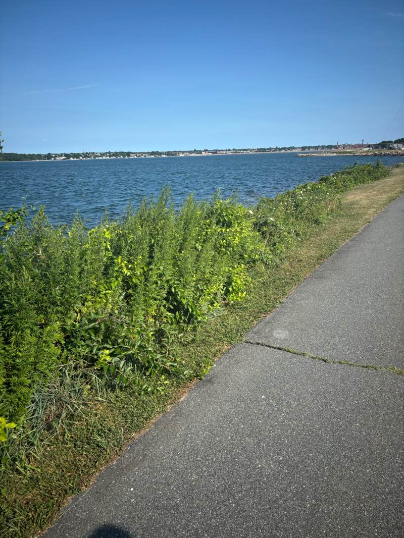 walking near me in Hazelwood Park in autumn