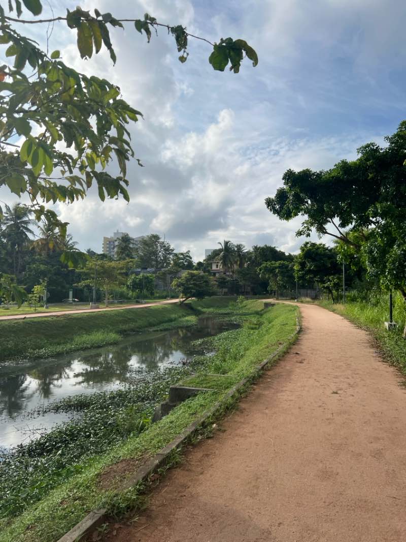 walking near me in Jogging Path in autumn