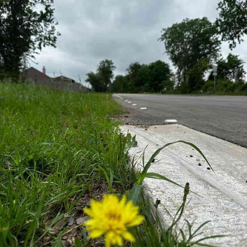 TinoV254🫡🇲🇽🏃🏾‍♂️💪🏽👑💪🏽🏃🏾‍♂️🇲🇽🫡 post 2