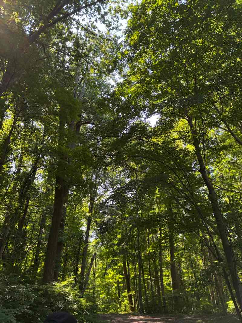 walking near me in Princeton Battlefield State Park in autumn