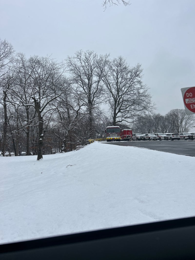 walking near me in Friberger Park in winter
