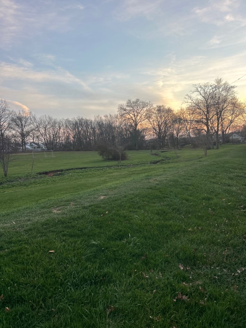 walking near me in Biertempful Park in spring