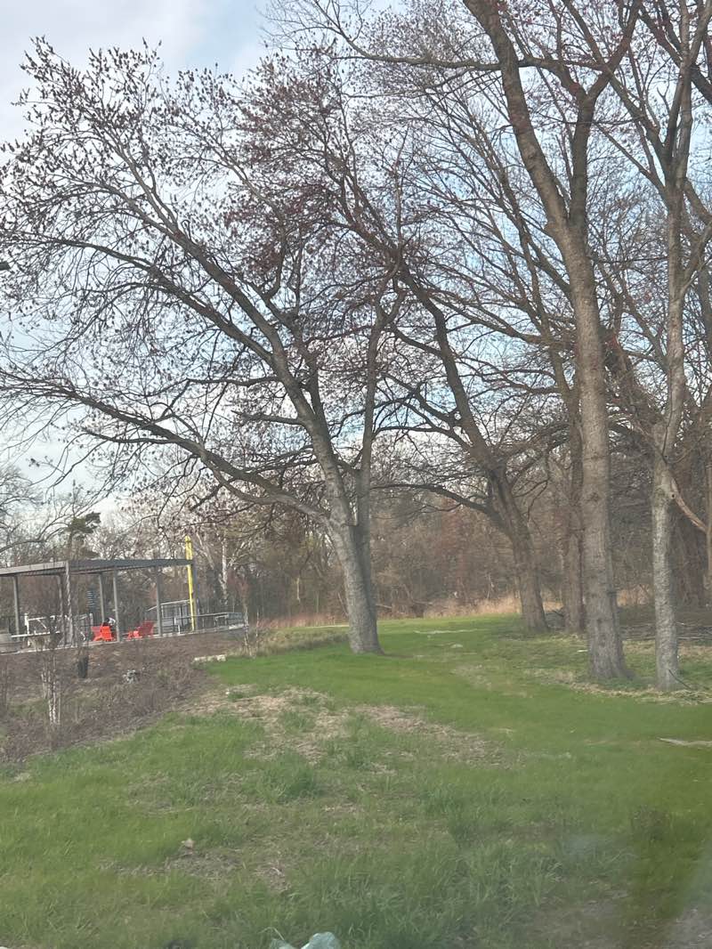 walking near me in Lightning Brook Park in spring