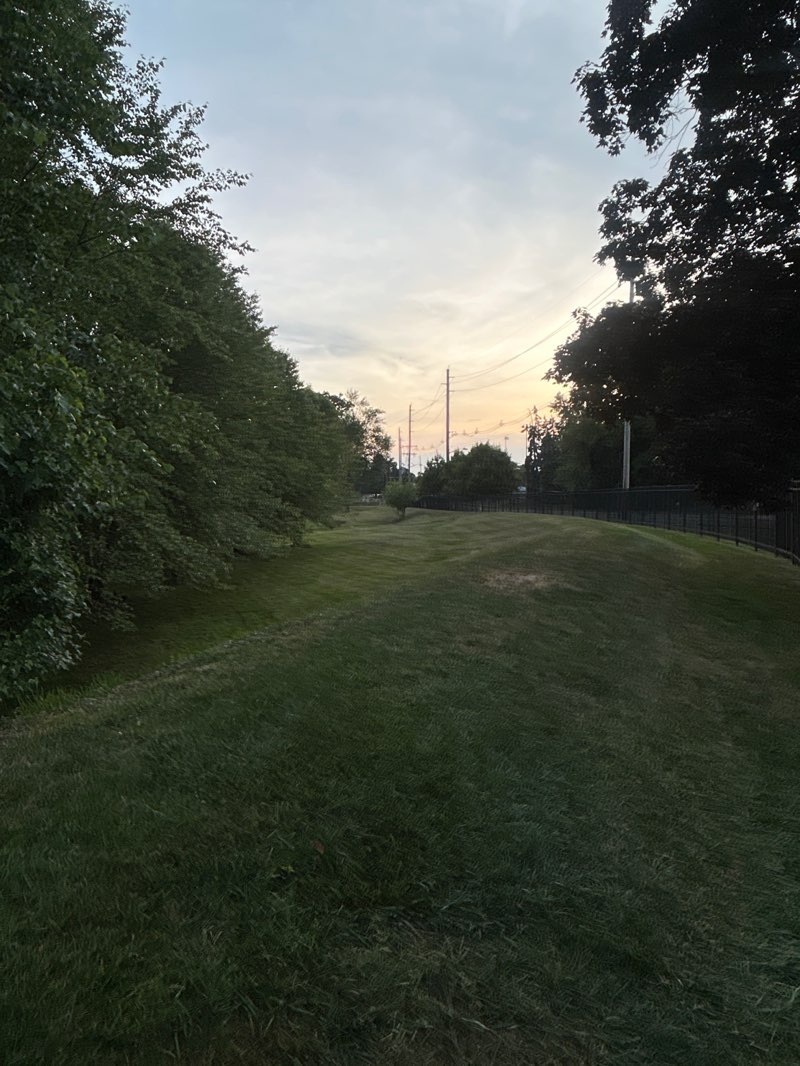 walking near me in Biertempful Park in summer