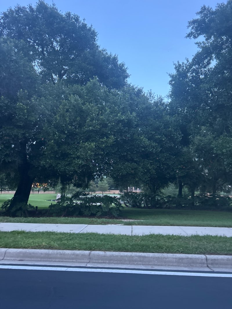 walking near me in Colonial Center Park in summer