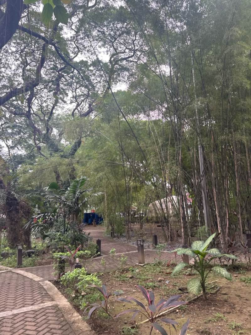 walking near me in Quezon City Hall Park and Lagoon in winter