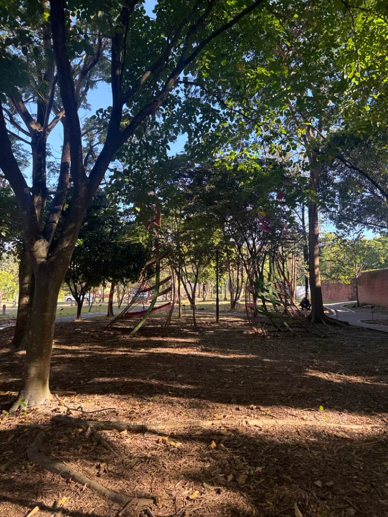 walking near me in U.P. – Washington SyCip Garden of Native Trees in spring