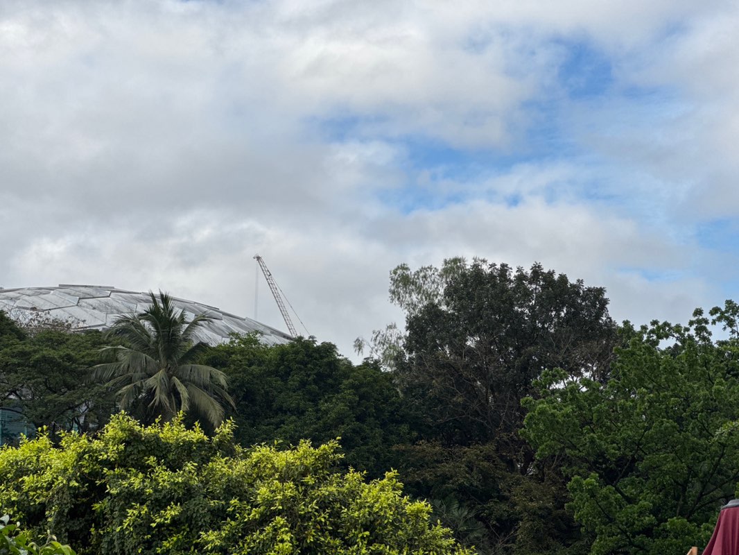 walking near me in Quezon City Hall Park and Lagoon in winter