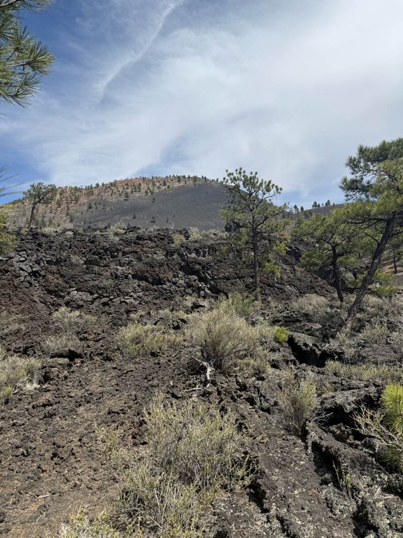 walking near me in Sunset Crater Volcano National Monument in spring