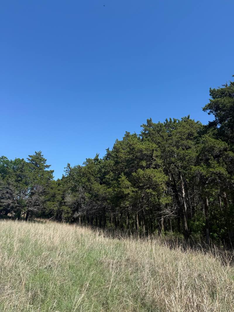 walking near me in Wichita Mountains National Wildlife Refuge in spring