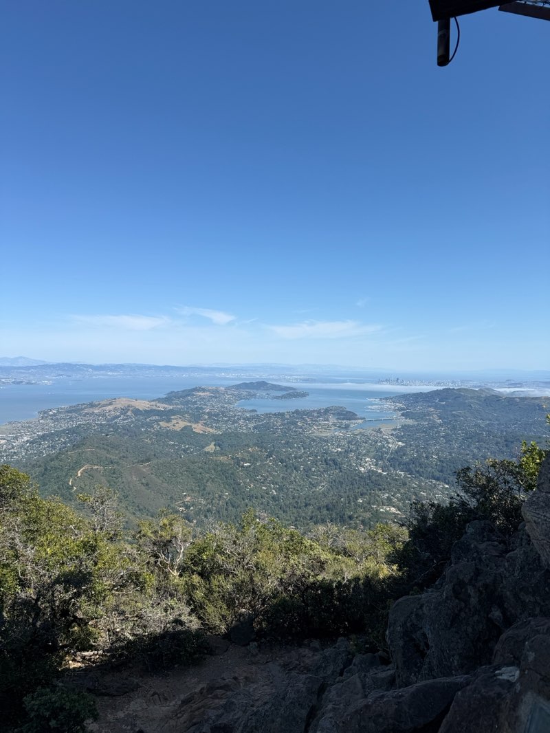 walking near me in Mount Tamalpais Watershed in summer