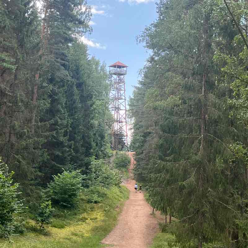 Webbing Nikita post image