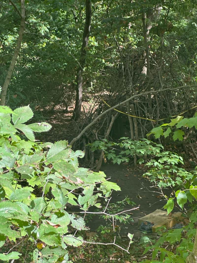 walking near me in Candlewood Park in autumn