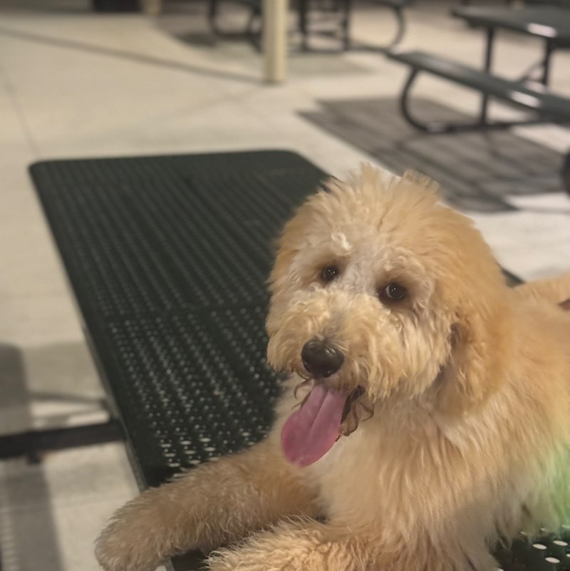 BioLife Gurlsss Jeanette post image