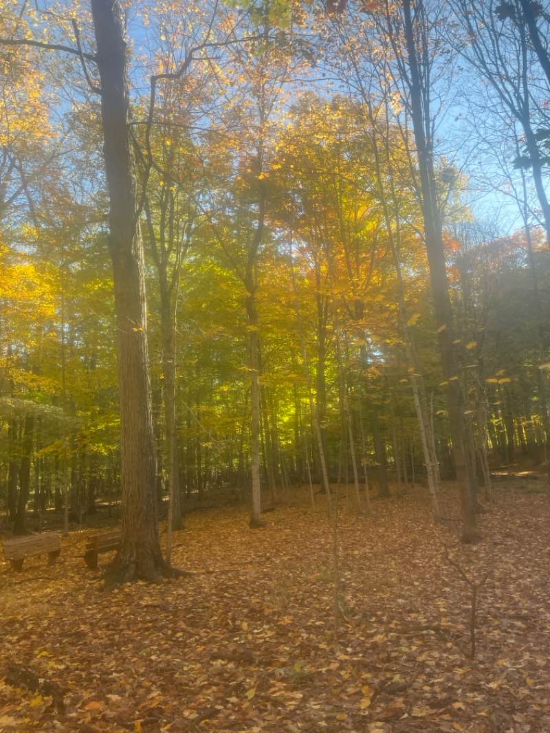 walking near me in Lloyd A. Stage Nature Center & Troy Farm in autumn