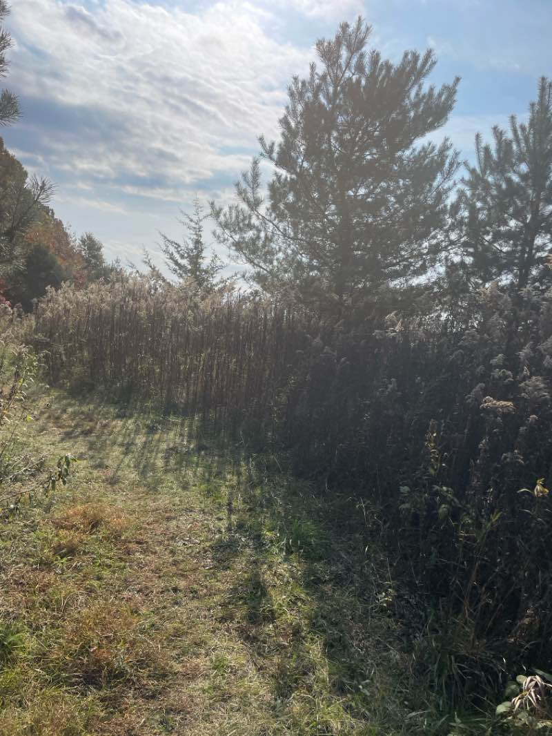 walking near me in Hartland Heritage Park in autumn