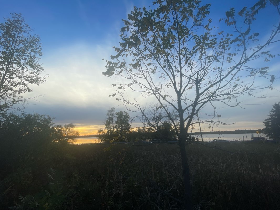 walking near me in Sylvan Manor Park in autumn