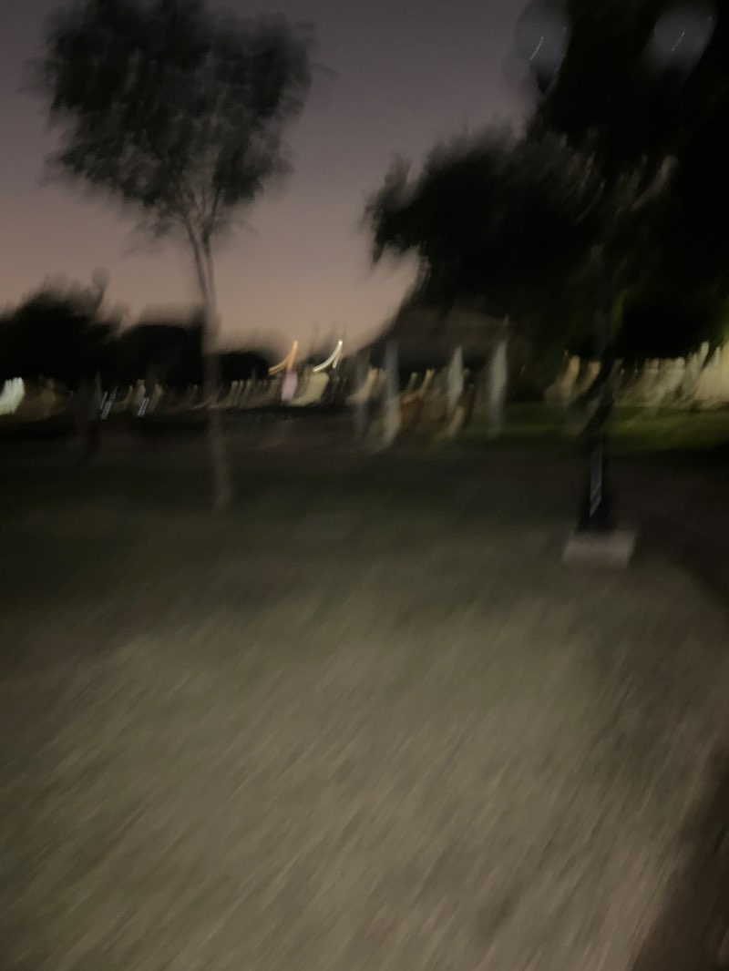 walking near me in New Salata Park in autumn