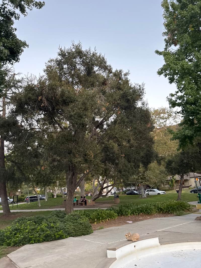 walking near me in Glenoaks Park in autumn