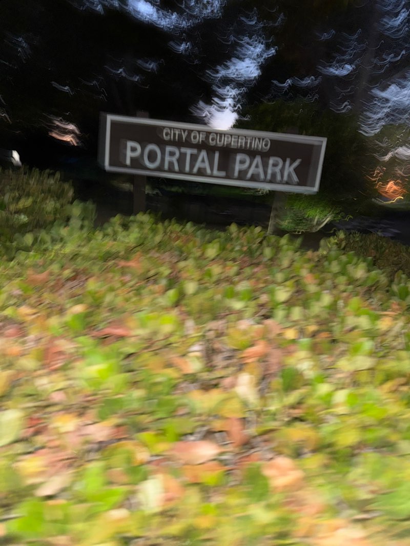 walking near me in Portal Park in autumn