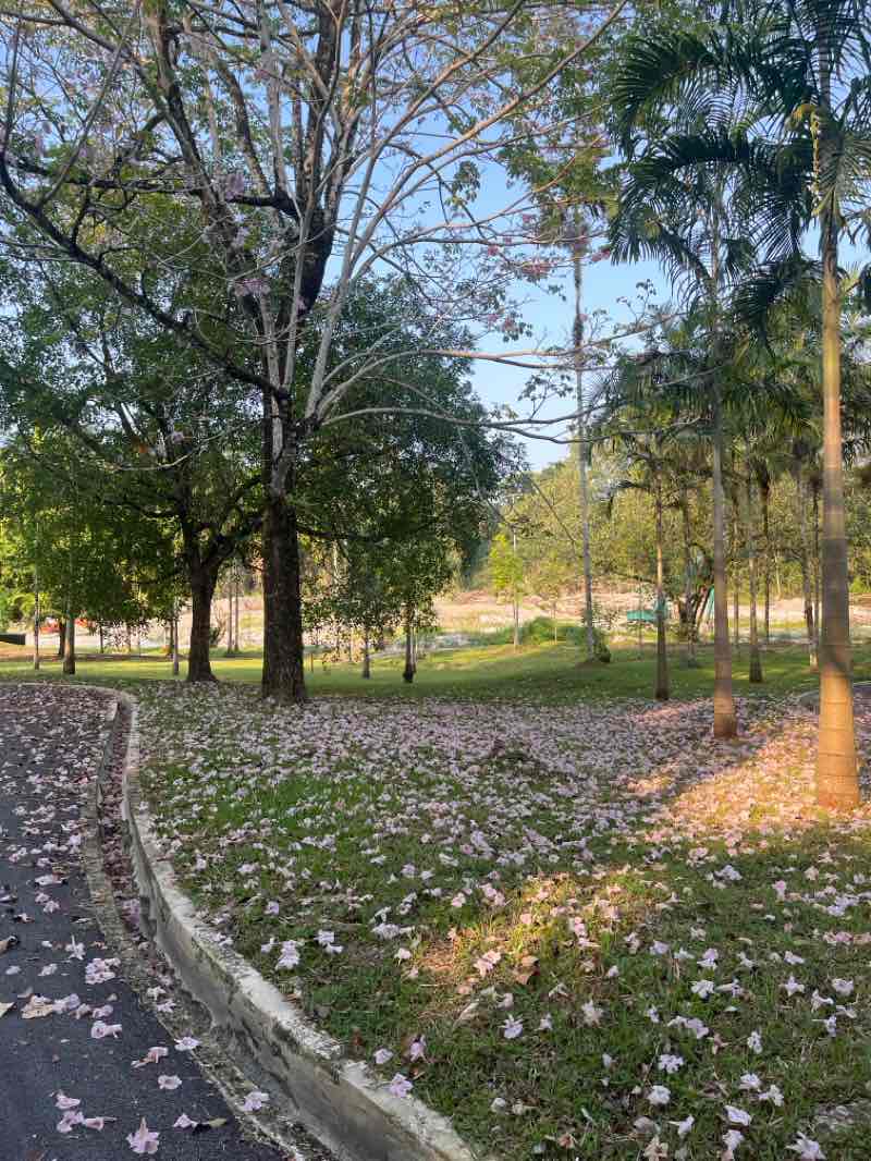 walking near me in Taman Rekreasi Wisma Bapa Malaysia in autumn