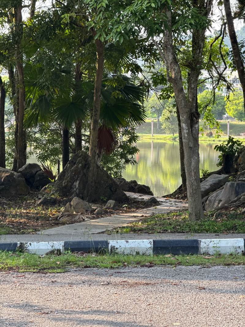 walking near me in Taman Tasik Ketitir in autumn