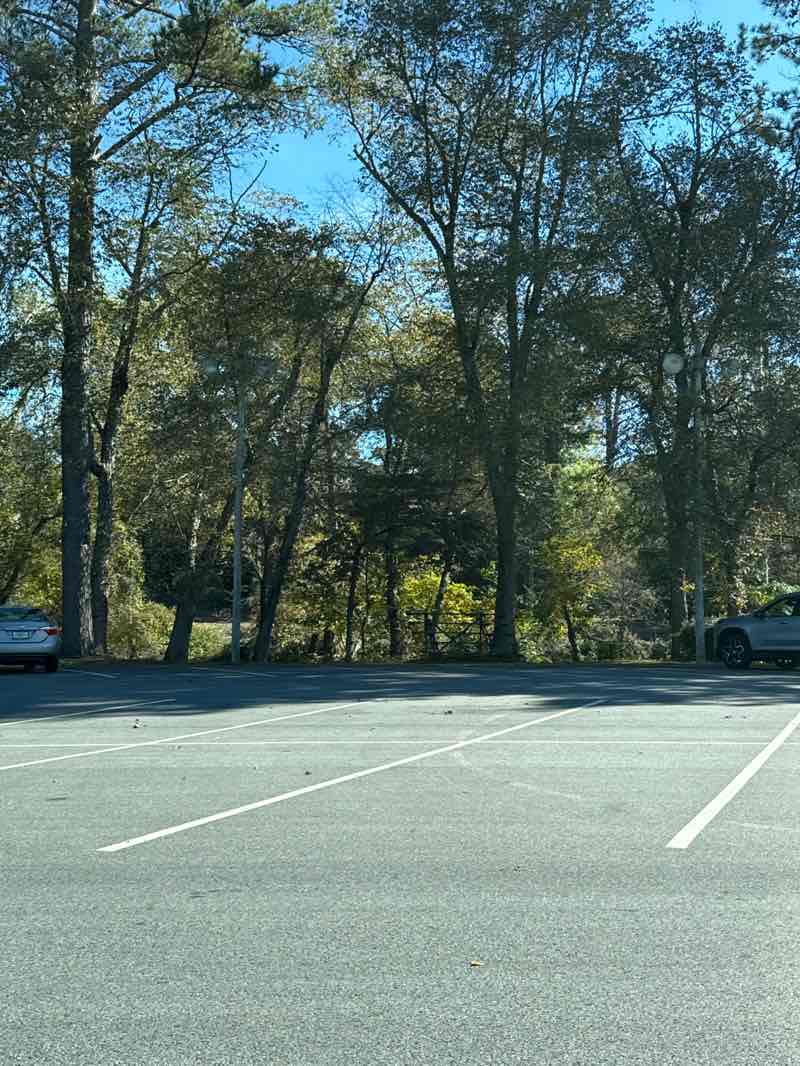 walking near me in Veterans Memorial Park in autumn