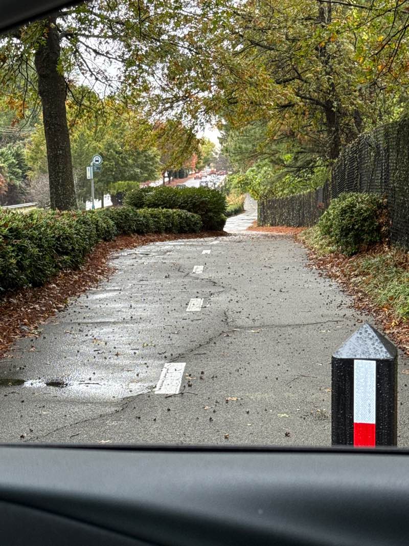 walking near me in Spring Road Linear Park in autumn