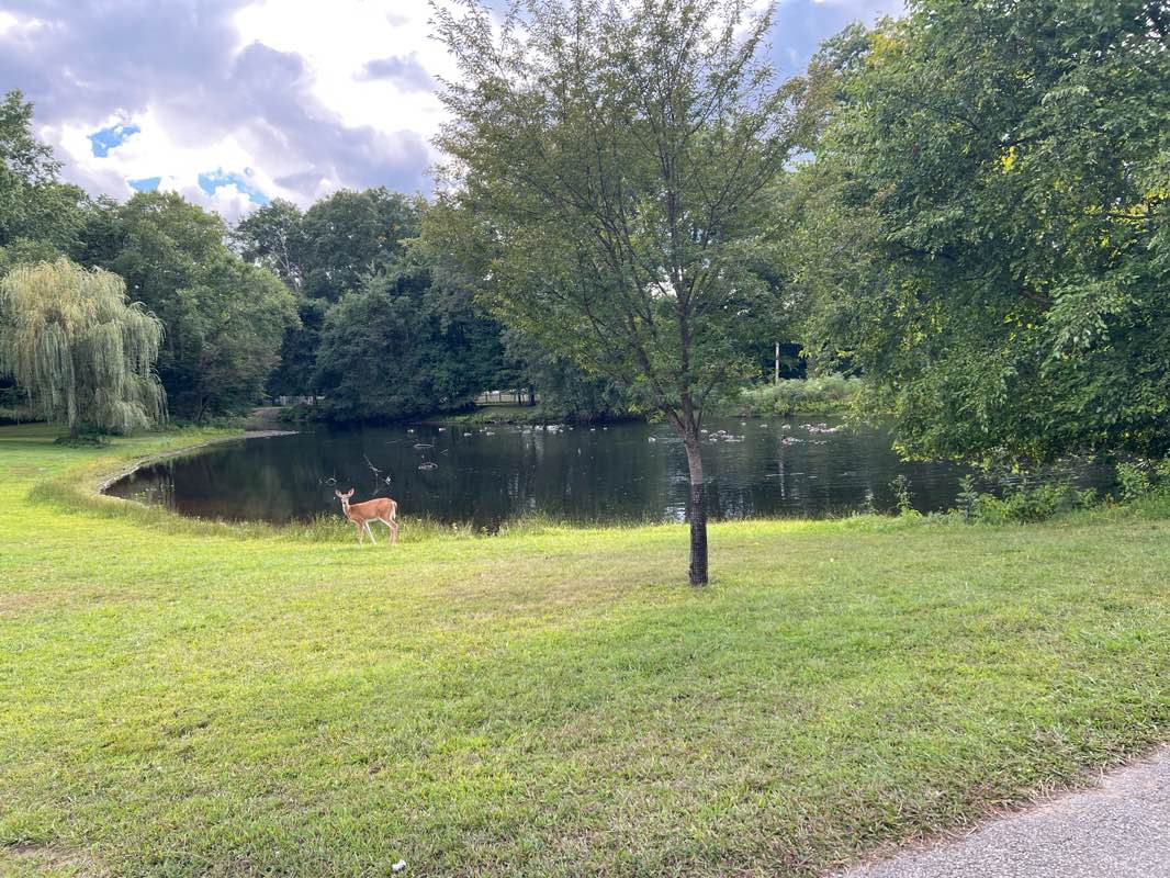 walking near me in Lakeside Park in autumn