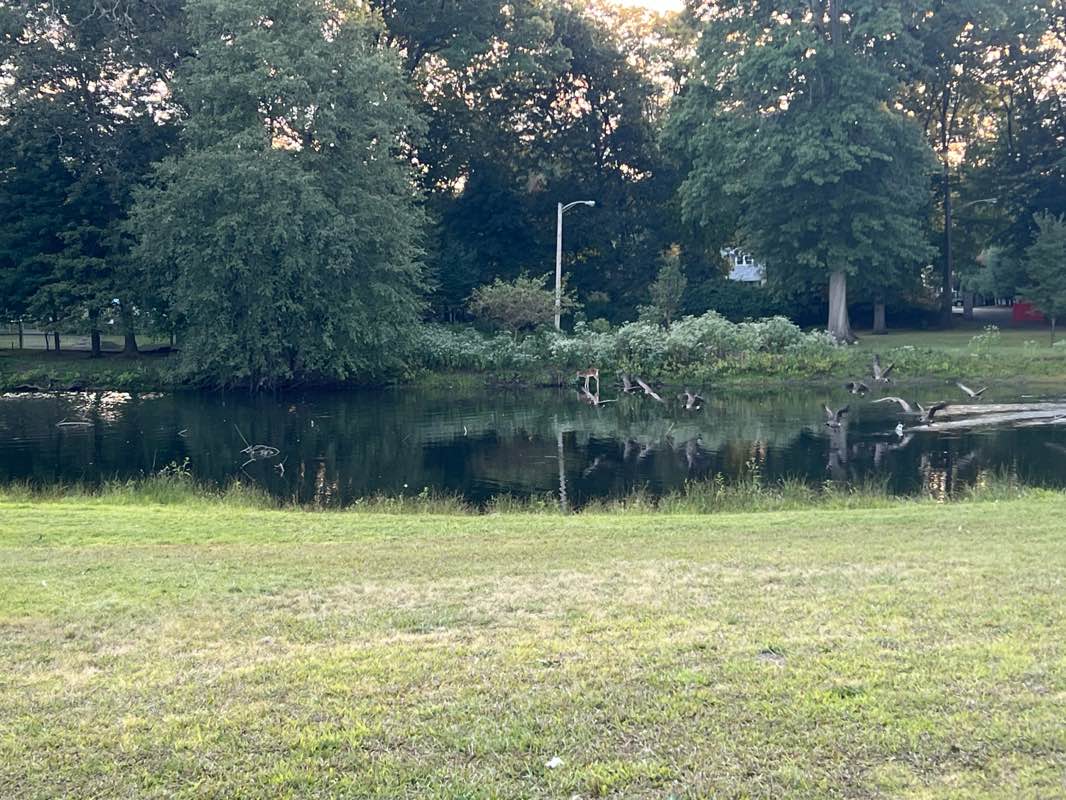 walking near me in Murrin Park in autumn