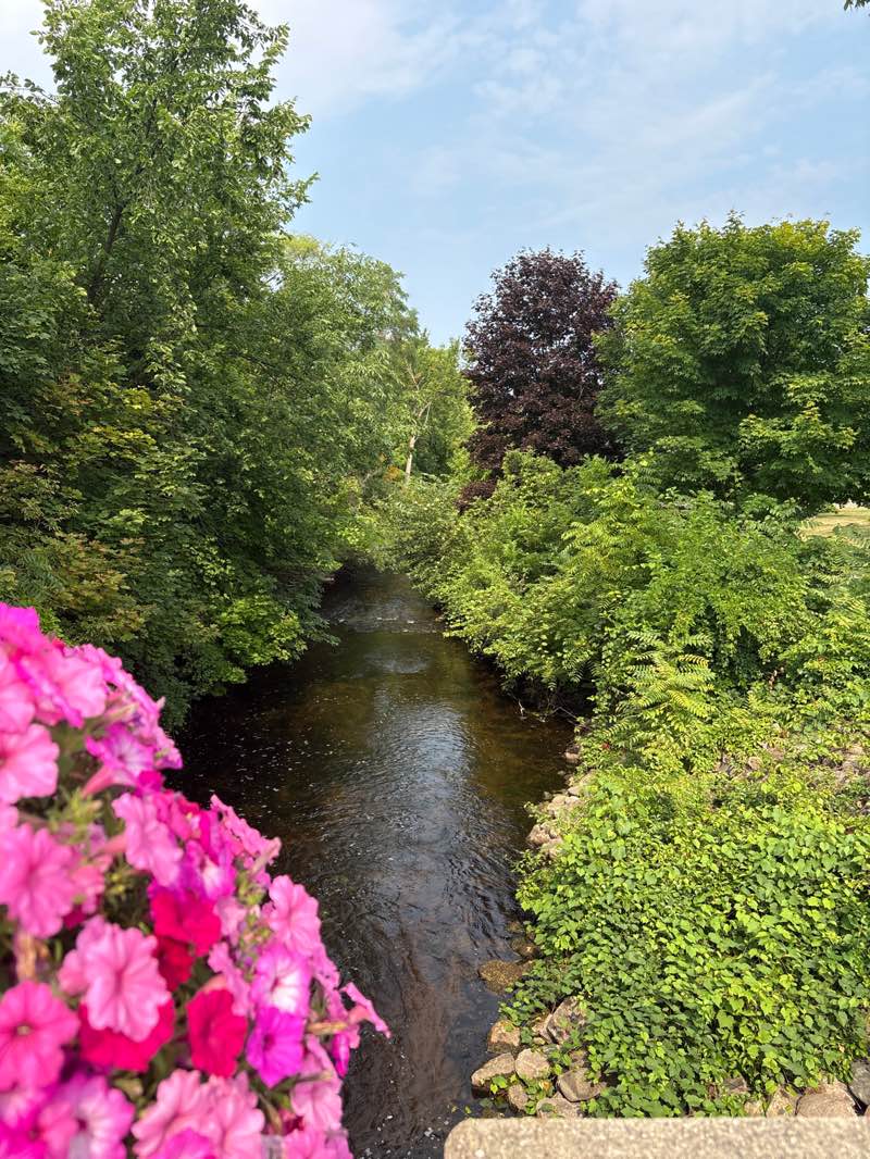 walking near me in Rackham Park in summer