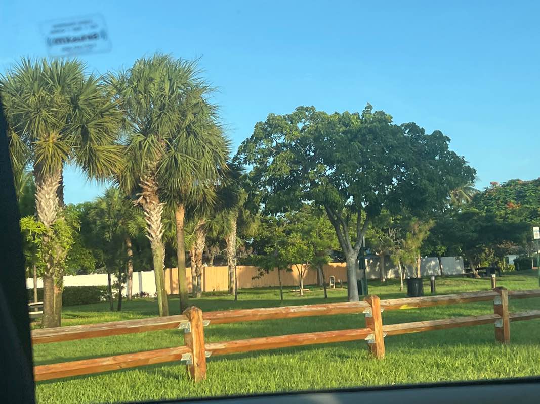 walking near me in Mayo Howard Park in autumn