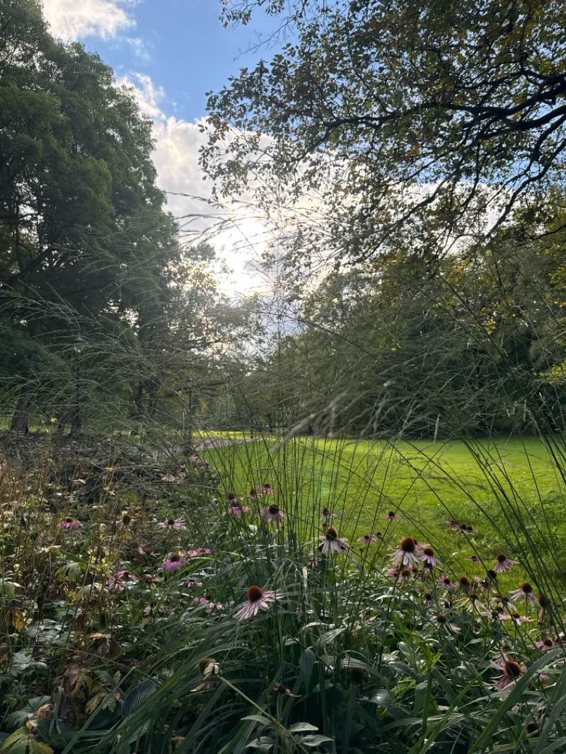 walking near me in Slottsparken in autumn