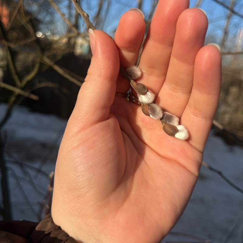 Run Beauty Катерина post image