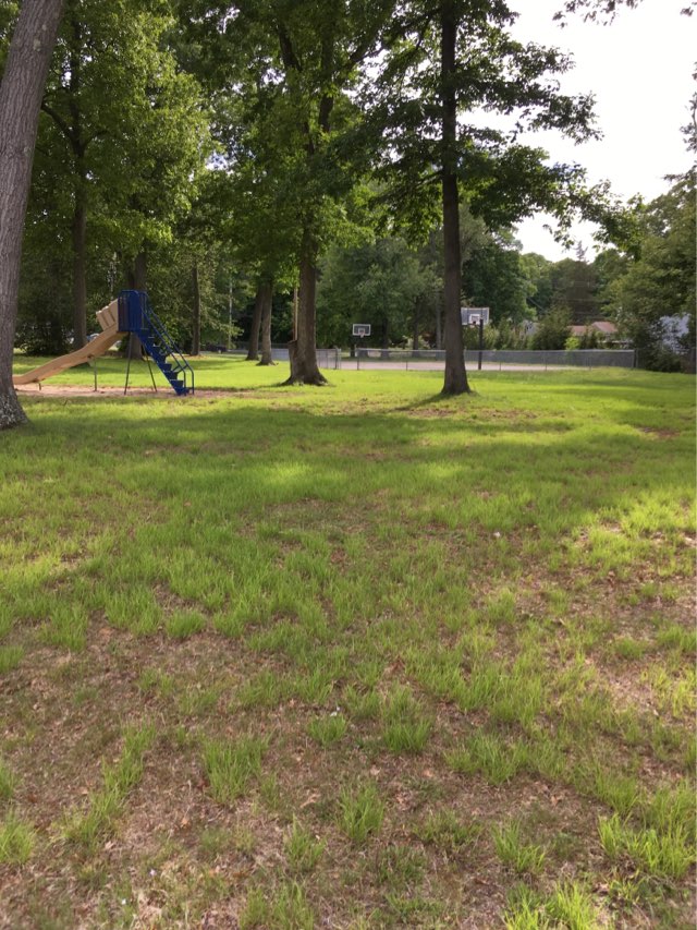walking near me in Pond Hill Park in summer