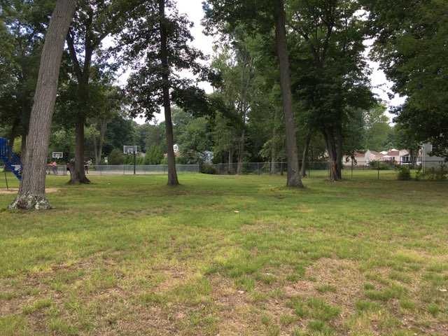 walking near me in Pond Hill Park in summer