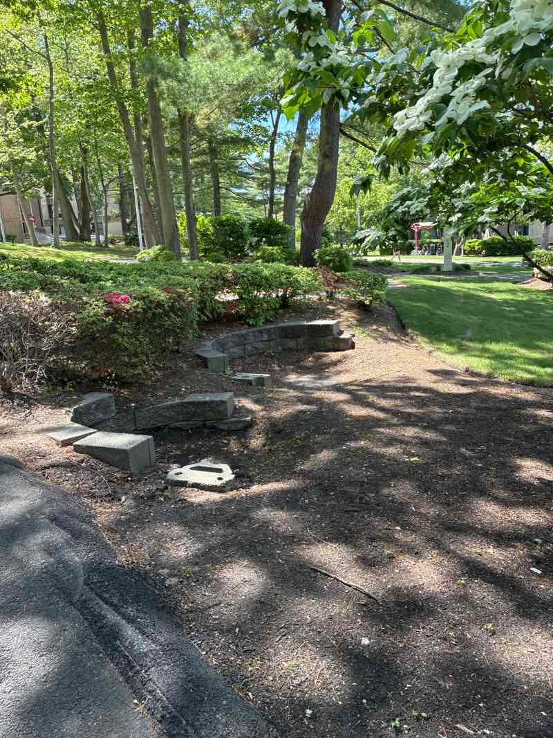 walking near me in Roth Quad in summer