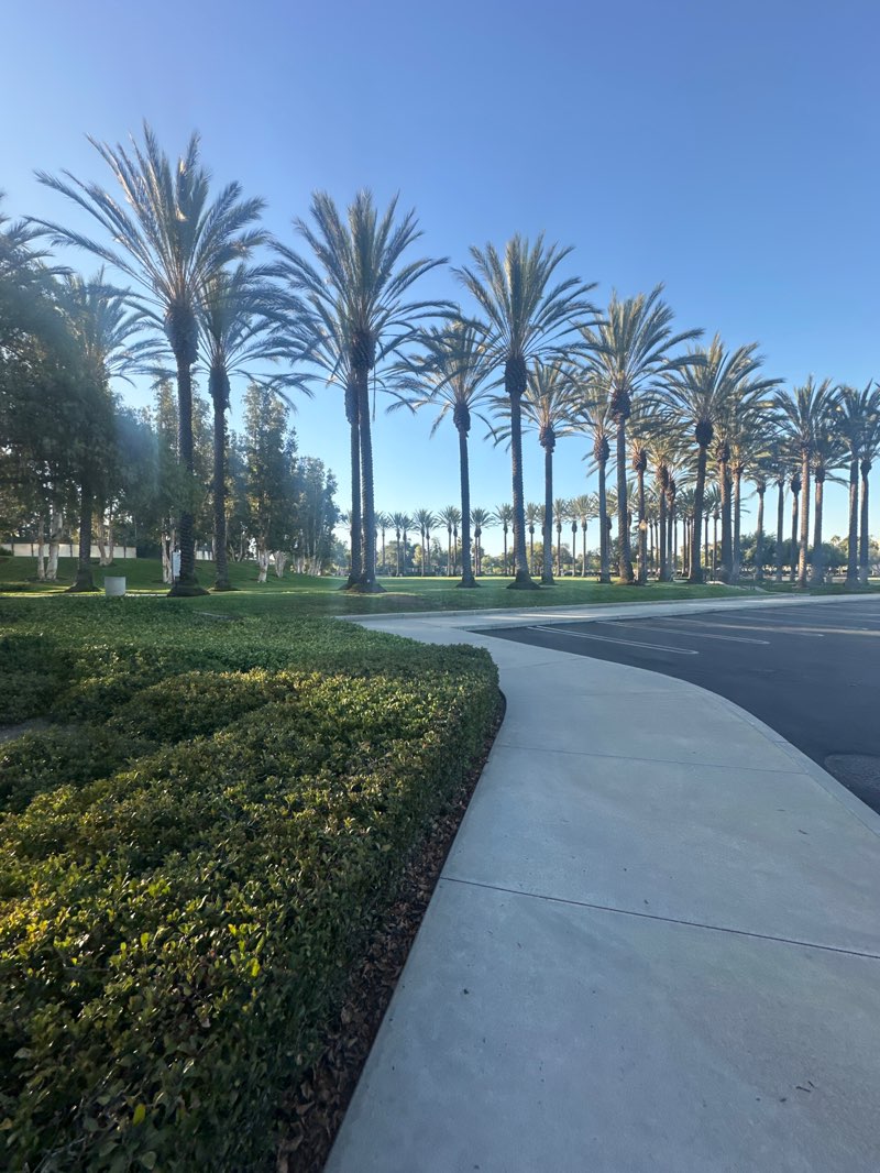 walking near me in Rancho Santa Margarita City Park in autumn