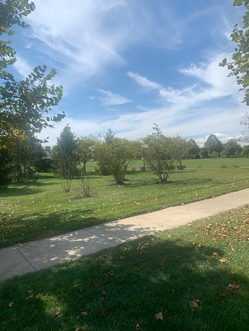 walking near me in Village Square in autumn