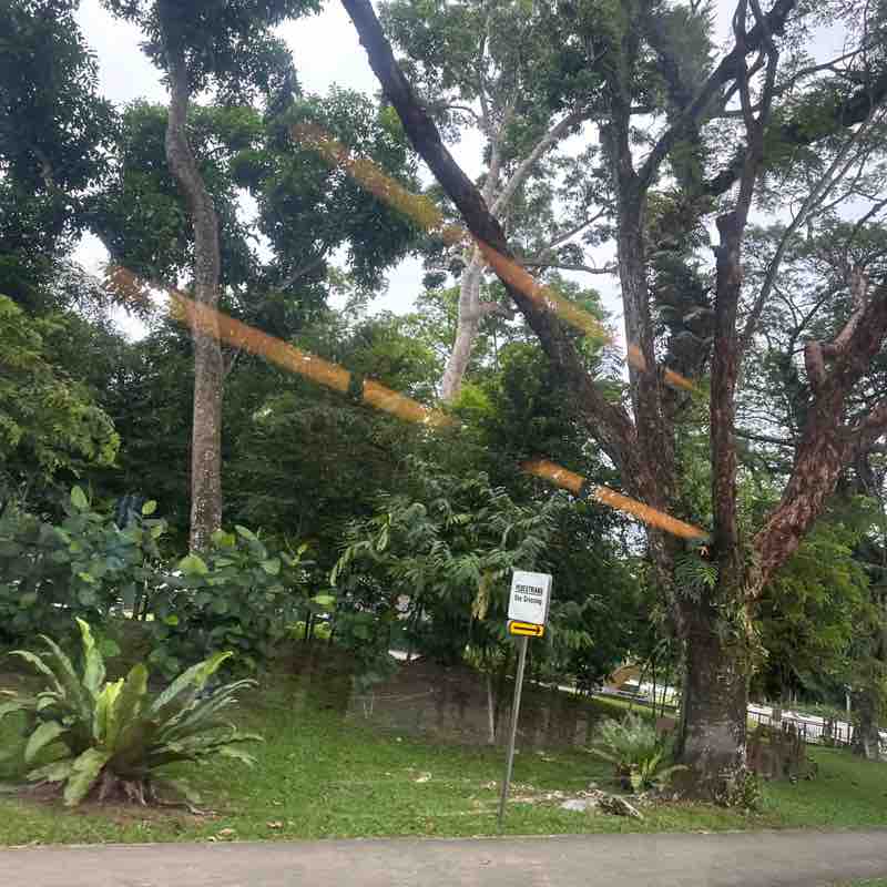 Richie Abraham post 1