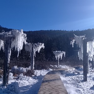 ︎⠀︎ ︎ profile