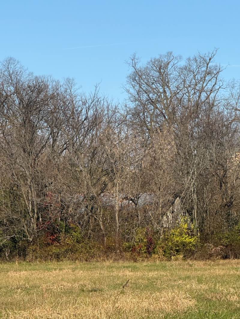 walking near me in Shafer Memorial Park in autumn