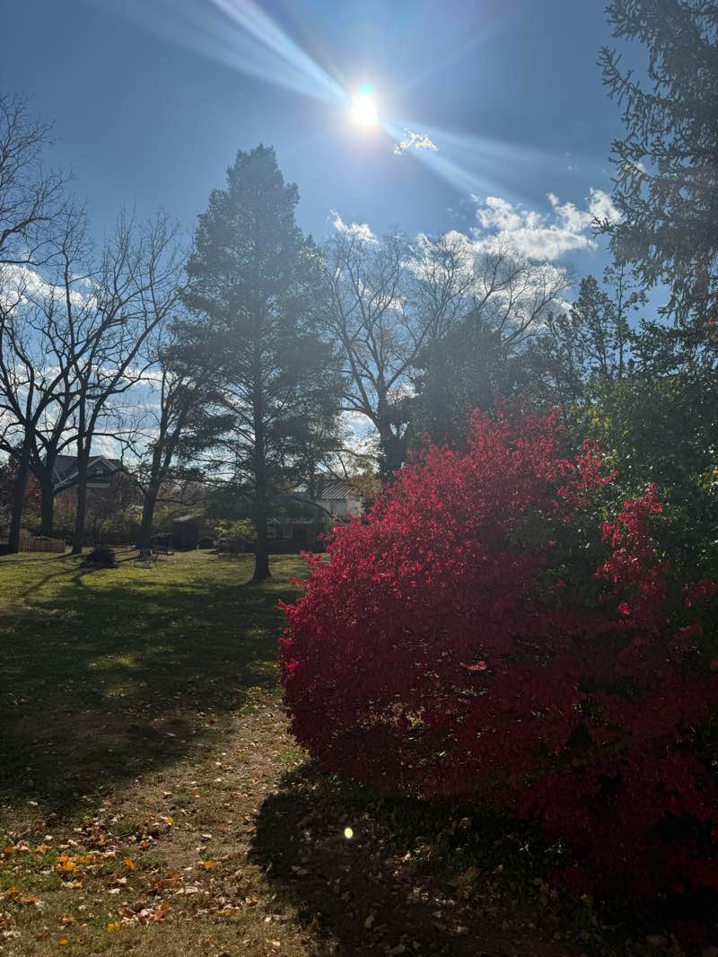 walking near me in Boonsboro Historical Park in autumn